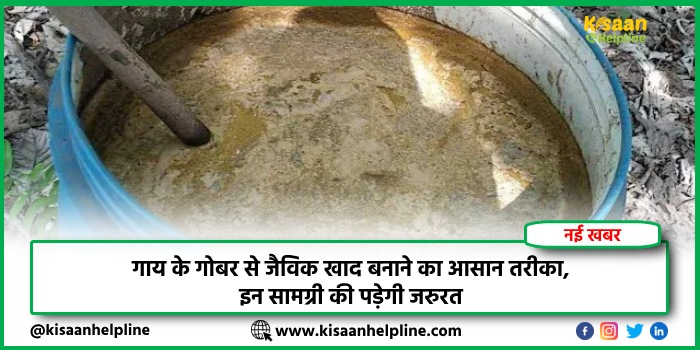 गाय के गोबर से जैविक खाद बनाने का आसान तरीका, इन सामग्री की पड़ेगी जरुरत गाय के गोबर से जैविक खाद बनाने का आसान तरीका, इन सामग्री की पड़ेगी जरुरत