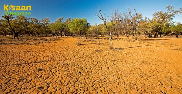 ऑस्ट्रेलिया में सूखे की क्षति के साथ, यूरोपीय कृषि योग्य खेती के लिए नए दृष्टिकोण ऑस्ट्रेलिया में सूखे की क्षति के साथ, यूरोपीय कृषि योग्य खेती के लिए नए दृष्टिकोण