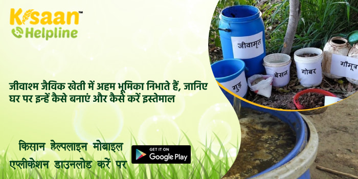 जीवाश्म जैविक खेती में अहम भूमिका निभाते हैं, जानिए घर पर इन्हें कैसे बनाएं और कैसे करें इस्तेमाल