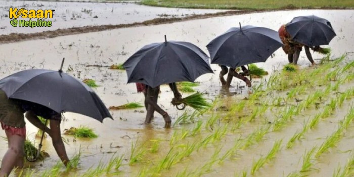 इन राज्यों में होगी भारी बारिश, मौसम विभाग ने दी चेतावनी, मानसून के आगमन से किसानों में उत्साह इन राज्यों में होगी भारी बारिश, मौसम विभाग ने दी चेतावनी, मानसून के आगमन से किसानों में उत्साह