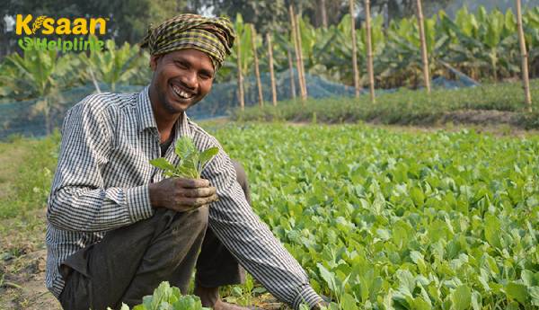 केंद्र किसानों की आय को मापने के लिए अपने स्ट्रैटेजम को व्यापक बनाता है केंद्र किसानों की आय को मापने के लिए अपने स्ट्रैटेजम को व्यापक बनाता है