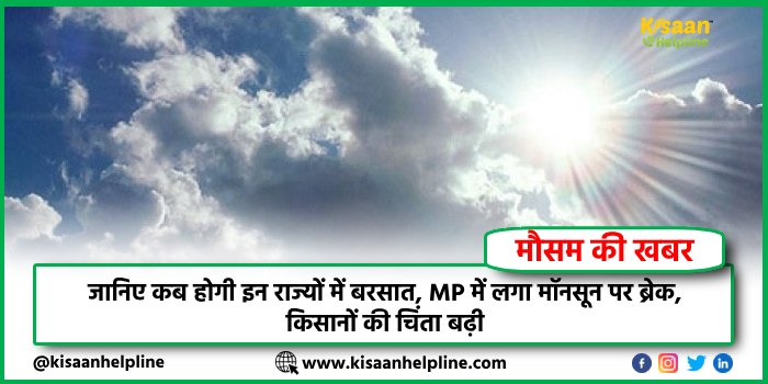 जानिए कब होगी इन राज्यों में बरसात, MP में लगा मॉनसून पर ब्रेक, किसानों की चिंता बढ़ी जानिए कब होगी इन राज्यों में बरसात, MP में लगा मॉनसून पर ब्रेक, किसानों की चिंता बढ़ी