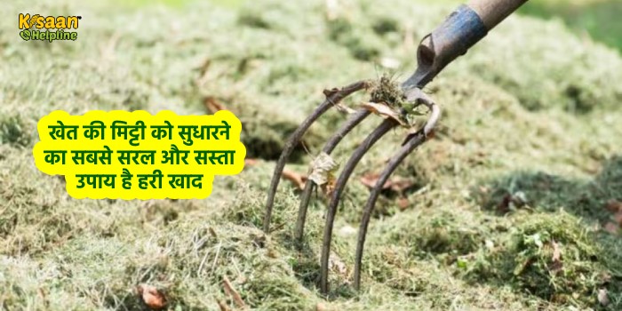 खेत की मिट्टी को सुधारने का सबसे सरल और सस्ता उपाय है हरी खाद खेत की मिट्टी को सुधारने का सबसे सरल और सस्ता उपाय है हरी खाद