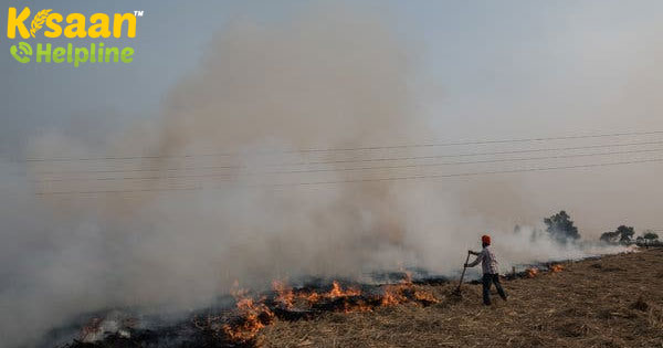 नो-बर्न कृषि: पर्यावरण को गैस उत्सर्जन से बचाने की पहल नो-बर्न कृषि: पर्यावरण को गैस उत्सर्जन से बचाने की पहल