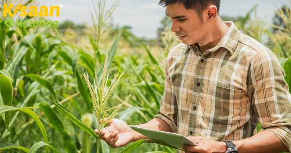 बीज और उर्वरक कंपनियां किसानों के साथ जुड़ने के लिए, कर रही डिजिटल प्लेटफॉर्म का उपयोग बीज और उर्वरक कंपनियां किसानों के साथ जुड़ने के लिए, कर रही डिजिटल प्लेटफॉर्म का उपयोग