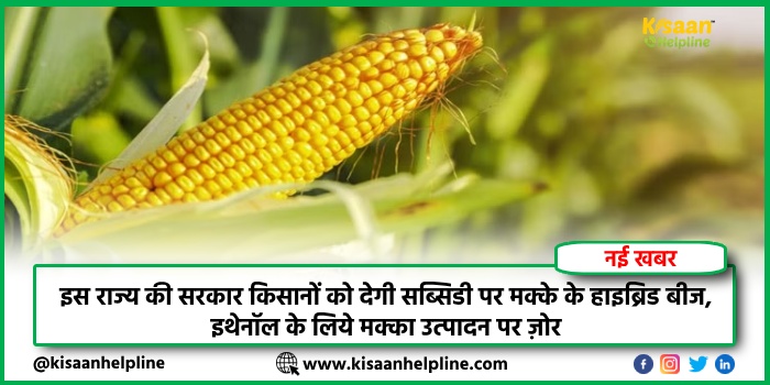 इस राज्य की सरकार किसानों को देगी सब्सिडी पर मक्के के हाइब्रिड बीज, इथेनॉल के लिये मक्का उत्पादन पर ज़ोर इस राज्य की सरकार किसानों को देगी सब्सिडी पर मक्के के हाइब्रिड बीज, इथेनॉल के लिये मक्का उत्पादन पर ज़ोर