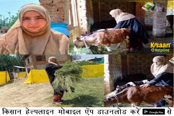 सफलता की कहानी: एक सफल डेयरी किसान आसिया ने डेयरी को बढ़ती बेरोजगारी का एक आशाजनक समाधान माना सफलता की कहानी: एक सफल डेयरी किसान आसिया ने डेयरी को बढ़ती बेरोजगारी का एक आशाजनक समाधान माना