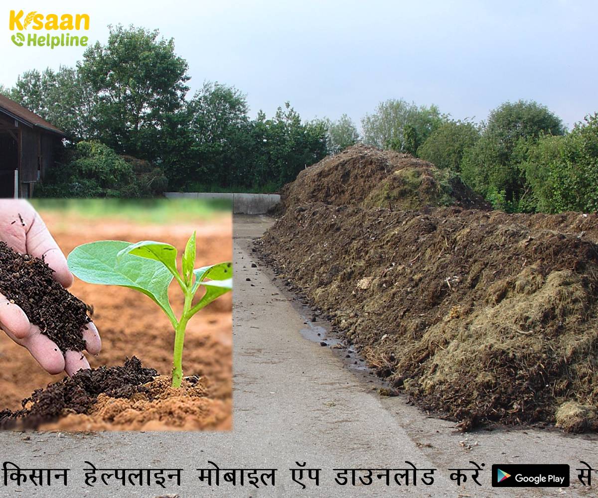 Agriculture Startup: गुजरात स्थित स्टार्टअप ने दिखाया कचरे को धन में बदलने का तेज़ तरीका Agriculture Startup: गुजरात स्थित स्टार्टअप ने दिखाया कचरे को धन में बदलने का तेज़ तरीका