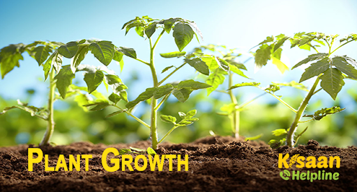 पौधे, मिट्टी और जड़ो के लिए वरदान है ये कोरोमंडल का नया उत्पाद