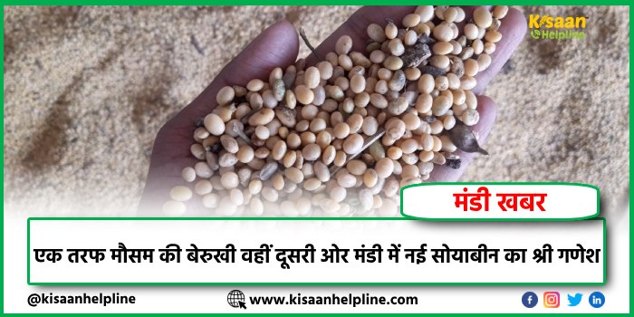 एक तरफ मौसम की बेरुखी वहीं दूसरी ओर मंडी में नई सोयाबीन का श्री गणेश एक तरफ मौसम की बेरुखी वहीं दूसरी ओर मंडी में नई सोयाबीन का श्री गणेश