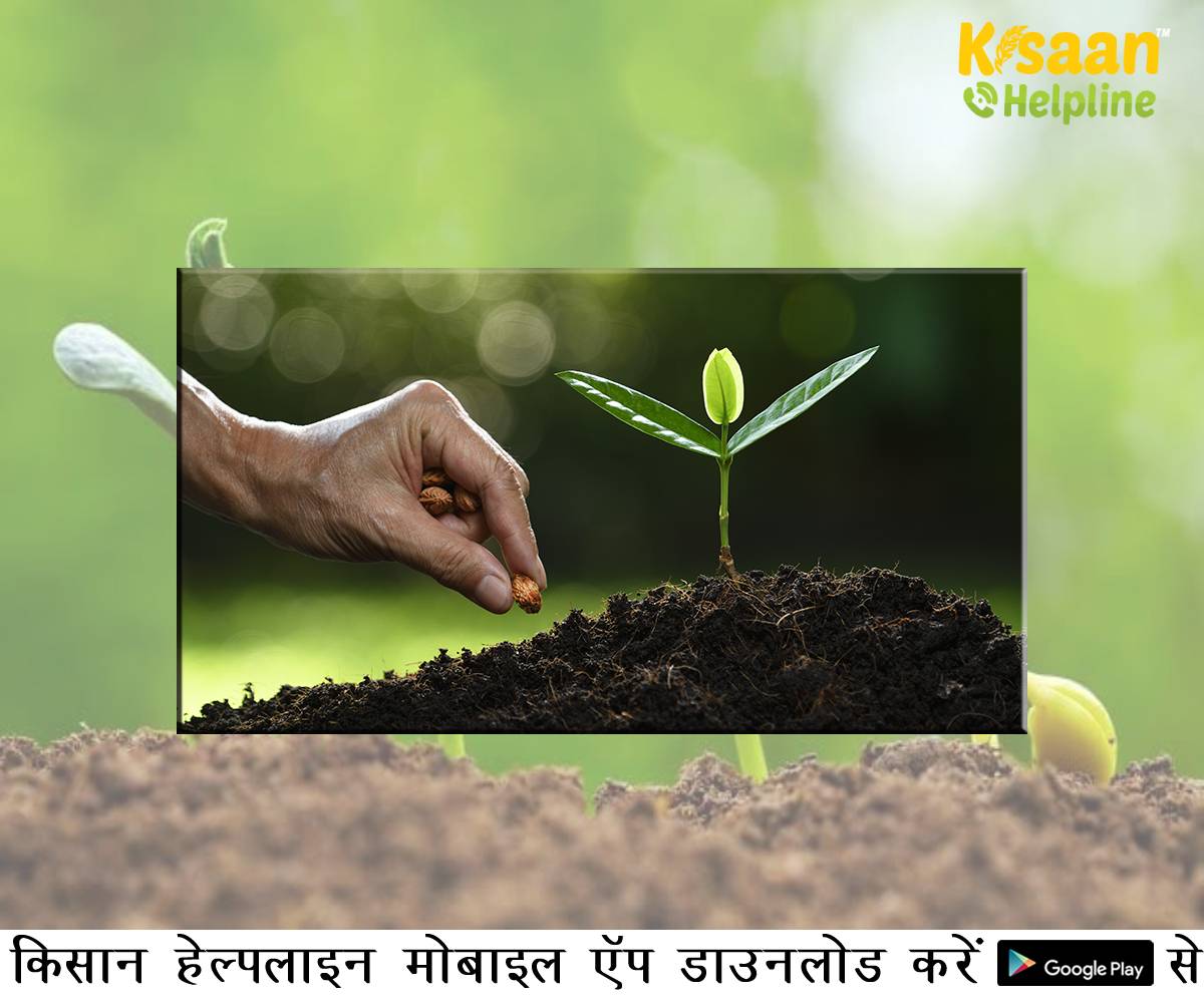 आईसीएआर (ICAR) प्राकृतिक खेती पर शोध करेगा, प्रदर्शित करेगा और इसे बढ़ावा देगा आईसीएआर (ICAR) प्राकृतिक खेती पर शोध करेगा, प्रदर्शित करेगा और इसे बढ़ावा देगा