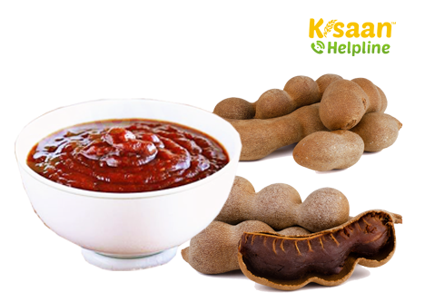 इमली की चटनी का प्रशिक्षण (Tamarind Sauce Training)