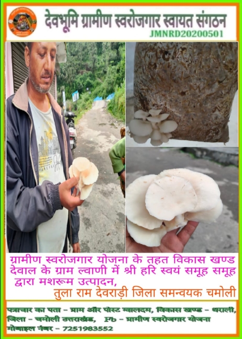 आयस्टर एवं बटन मशरूम प्रशिक्षण (Oyster and Button Mushroom Training)