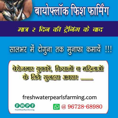 Biofloc Fish Farming Training | बायोफ्लोक मछली पालन प्रशिक्षण