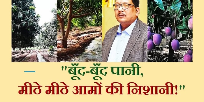 बूँद-बूँद पानी, मीठे मीठे आमों की निशानी! बूँद-बूँद पानी, मीठे मीठे आमों की निशानी!