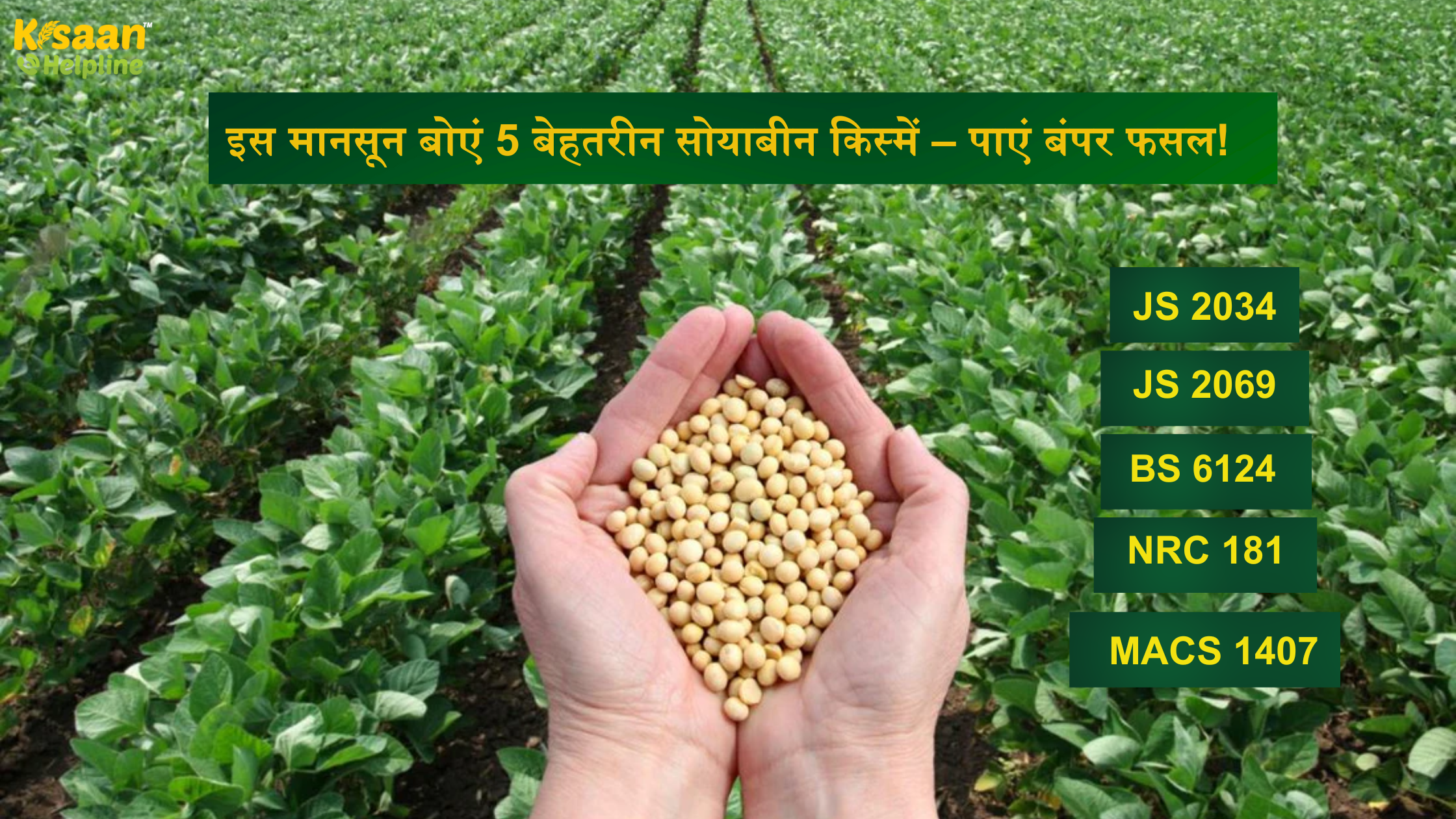 इस मानसून बोएं 5 बेहतरीन सोयाबीन किस्में – पाएं बंपर फसल