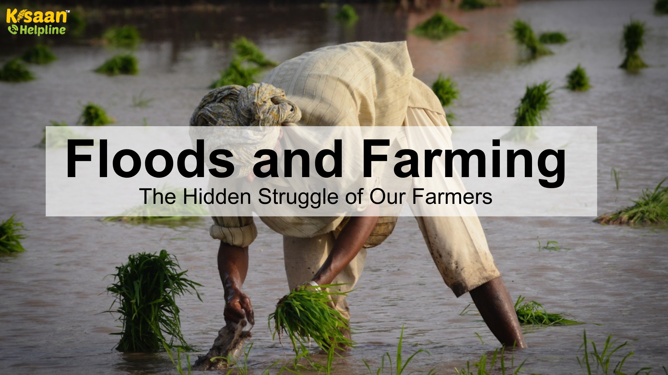 Floods and Farming: The Hidden Struggle of Our Farmers