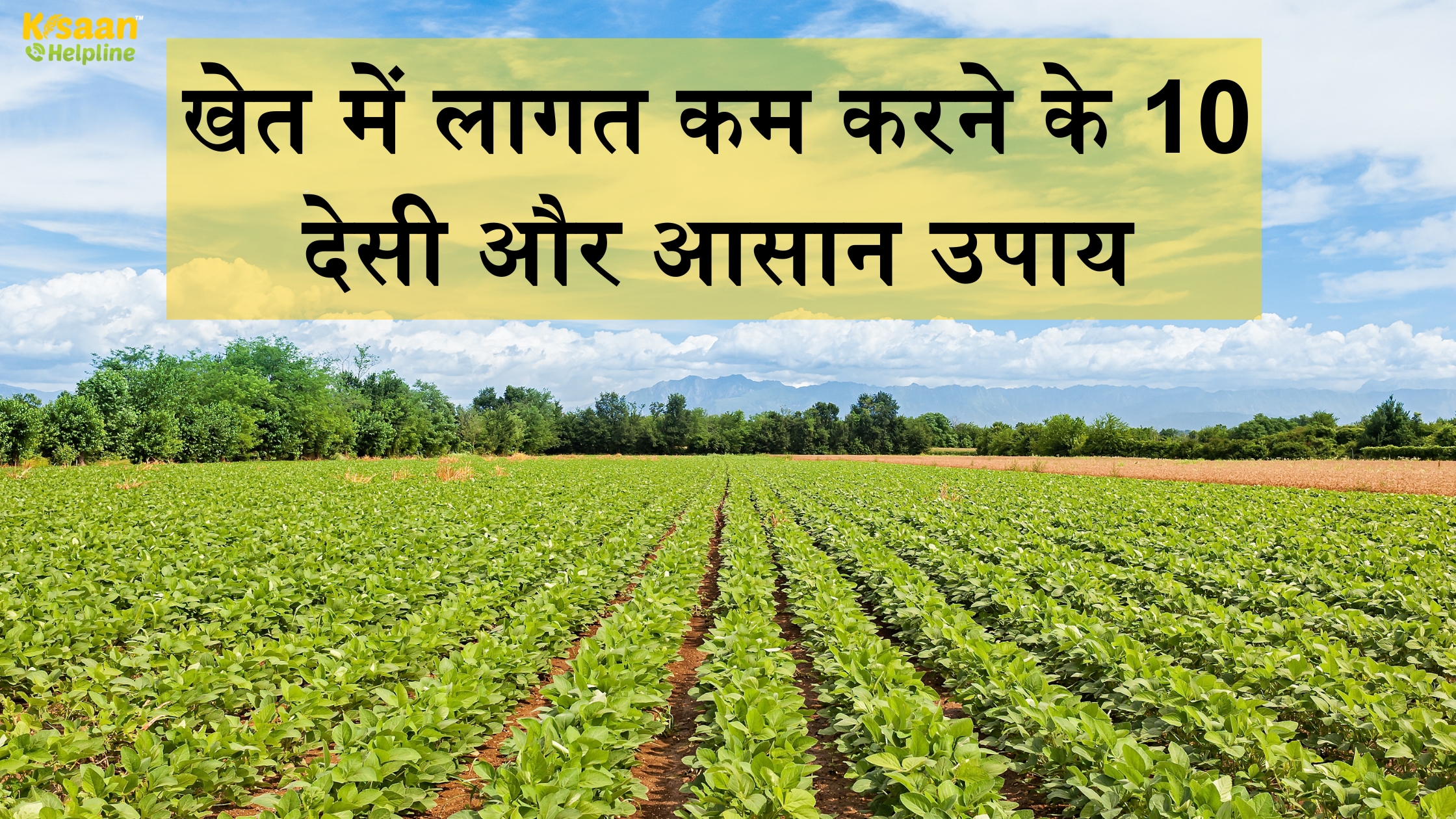 खेत में लागत कम करने के 10 देसी और आसान उपाय