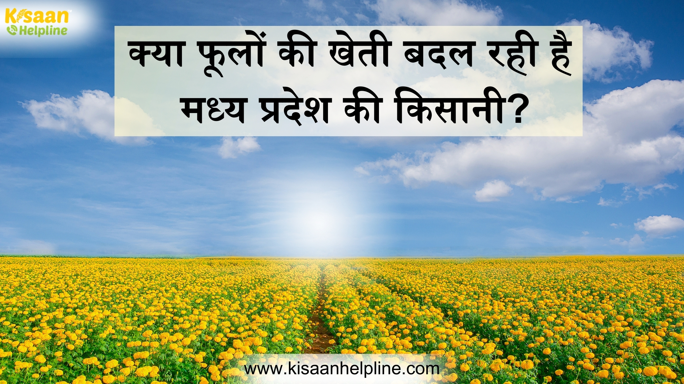 क्या फूलों की खेती बदल रही है मध्य प्रदेश की किसानी?