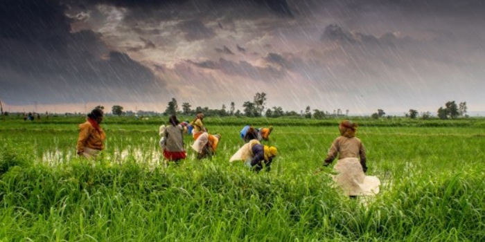 Benefits of Nano fertilizer over conventional fertilizers