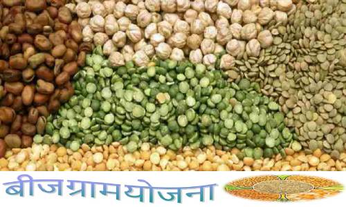 बीज ग्राम योजना: किसानों को उन्नत एवं प्रमाणित बीज उपलब्ध करवाने के लिए सरकार की योजना