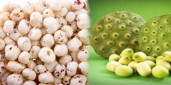 मखाना प्रसंस्करण के विभिन्न चरण एवं उपयोग में आने वाले प्रमुख उपकरण मखाना प्रसंस्करण के विभिन्न चरण एवं उपयोग में आने वाले प्रमुख उपकरण