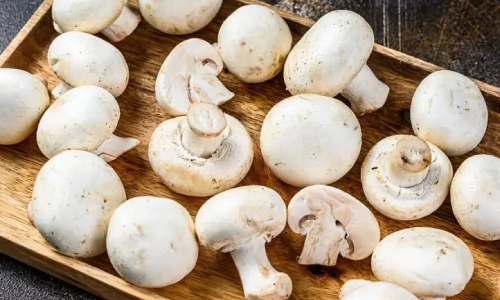 Mushroom is an Ideal Food Supplement Mushroom is an Ideal Food Supplement