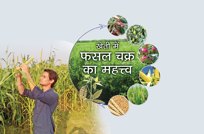 जल संरक्षण के लिए फसल चक्र का चुनाव जल संरक्षण के लिए फसल चक्र का चुनाव