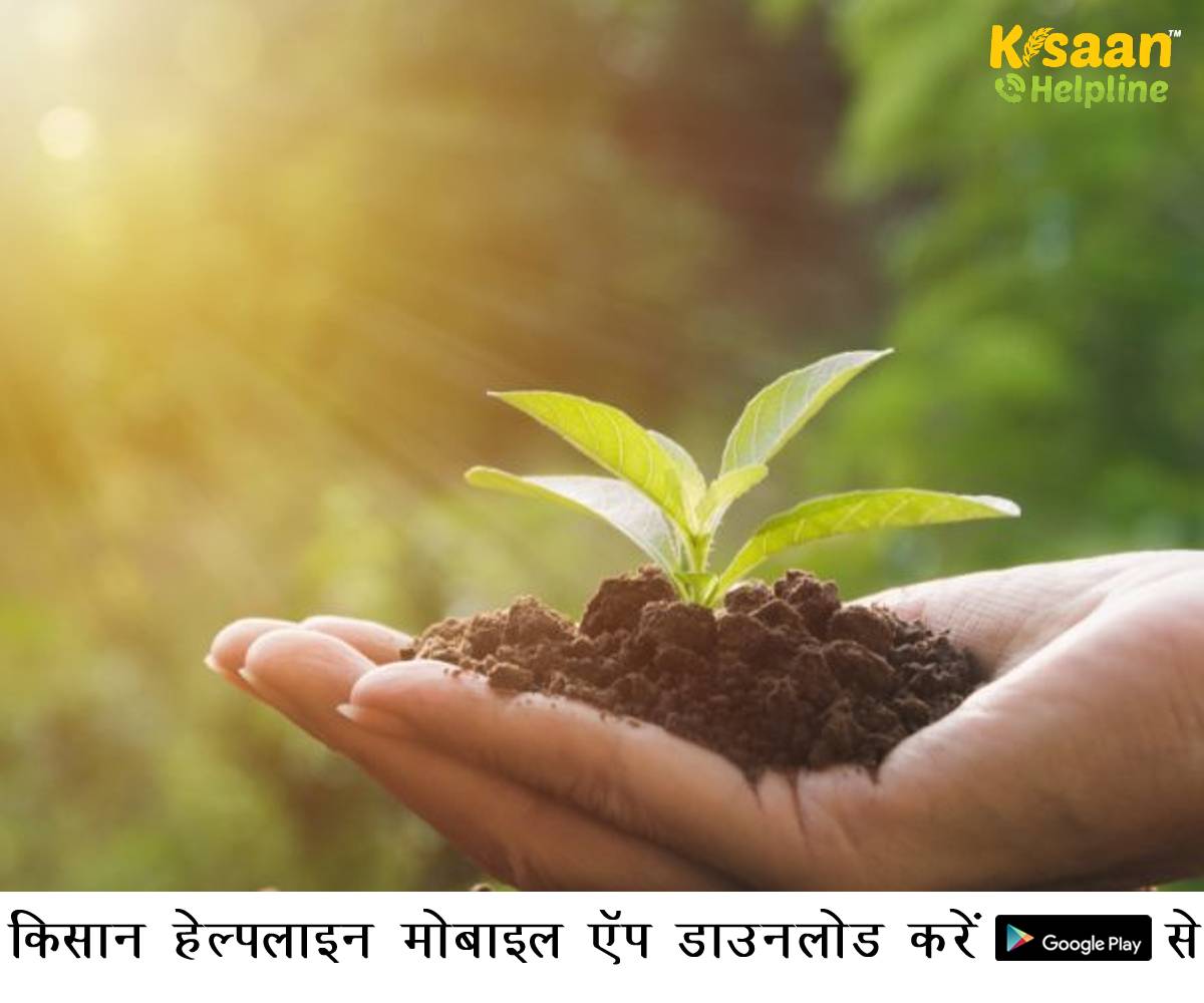 महाराष्ट्र-विदर्भ के किसानों के लिए कृषि वैज्ञानिकों ने जारी की कृषि एडवाइजरी