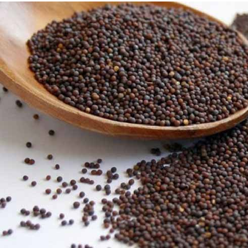 Rai or Sarson - Mustard seeds