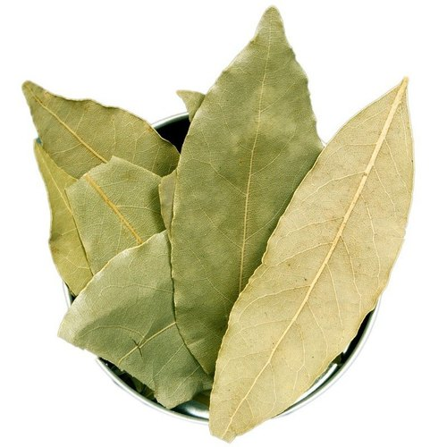 Tej Patta - Bay Leaf