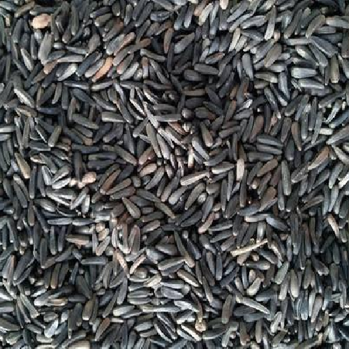 niger seeds