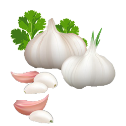 Uti Garlic (उटी लहसुन)