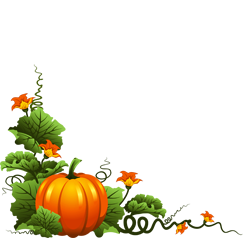 Pumpkin (कद्दू)