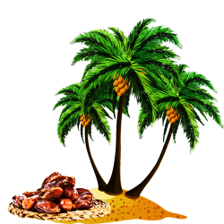 Date Palm (खजूर)