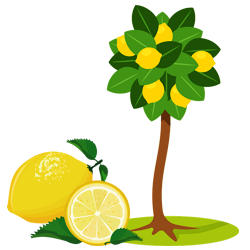 Lemon (नींबू)