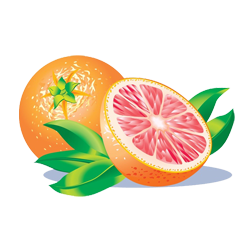 Grapefruit (चकोतरा)