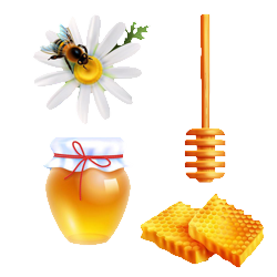 Honey plant