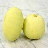 Squash Melon 