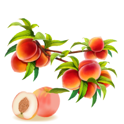 Peach (आड़ू)