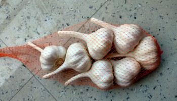 riyavan silver garlic